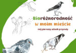 Bioróżnorodność w moim mieście – książeczka dla najmłodszych